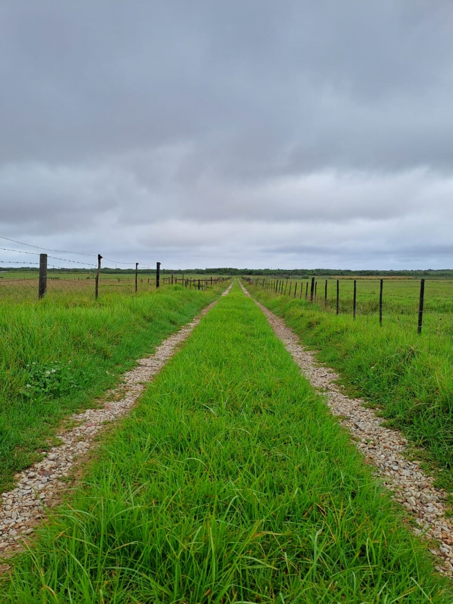 Commercial Property for Sale in St Francis Bay Rural Eastern Cape
